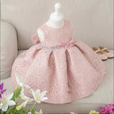Ballroom Knee Length Lace Gown For Toddlers