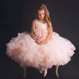 Pink Princess Wedding Gown For Baby Girl