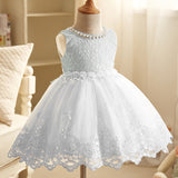New Lace baby girl Floral Gown for First Birthday