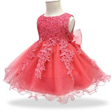 New Lace baby girl Floral Gown for First Birthday
